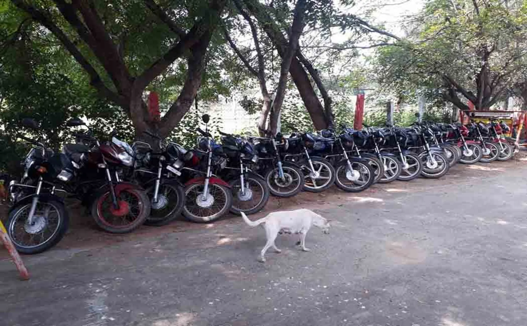 VELLORE TWO WHEELER THIEF ARRESTED IN POLICE SEIZURE VEHICLE 